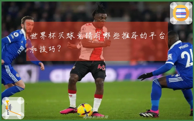 世界杯买球竞猜有哪些推荐的平台和技巧？