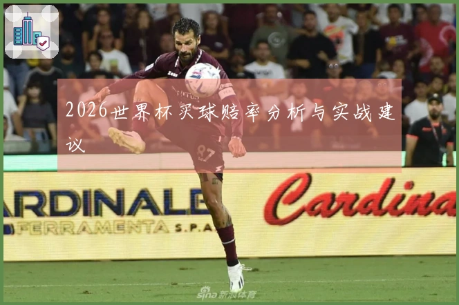 2026世界杯买球赔率分析与实战建议