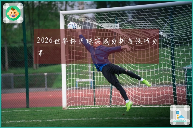 2026世界杯买球实战分析与技巧分享