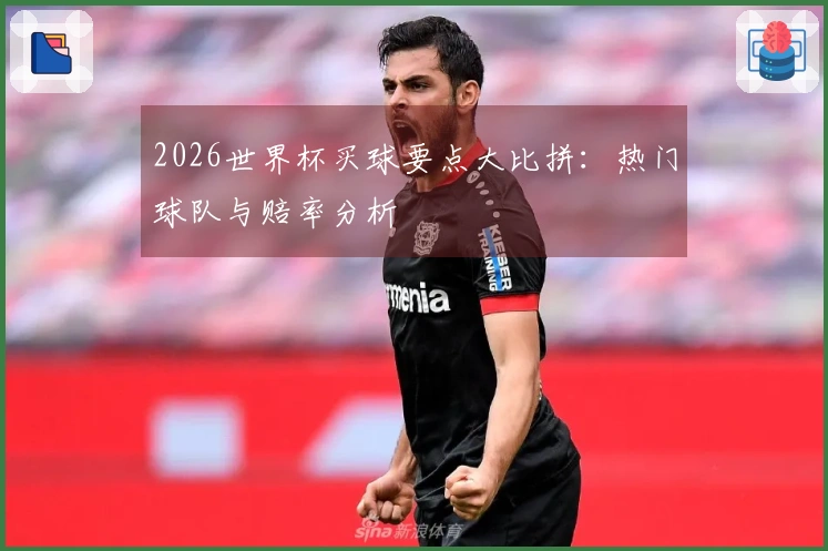 2026世界杯买球要点大比拼：热门球队与赔率分析