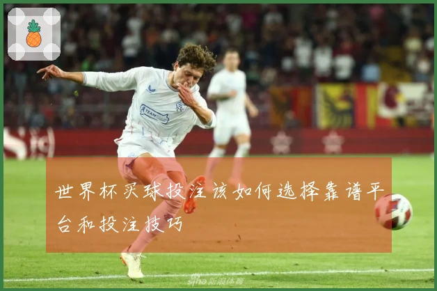 世界杯买球投注该如何选择靠谱平台和投注技巧