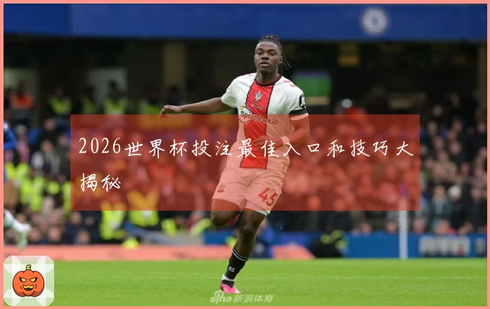 2026世界杯投注最佳入口和技巧大揭秘