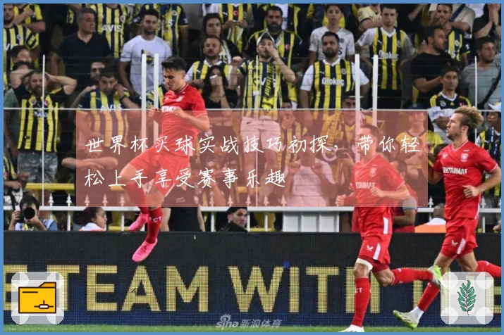世界杯买球实战技巧初探，带你轻松上手享受赛事乐趣