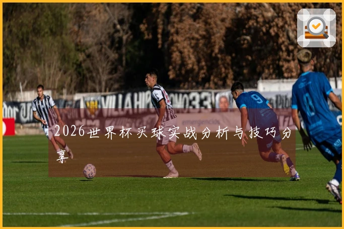 2026世界杯买球实战分析与技巧分享