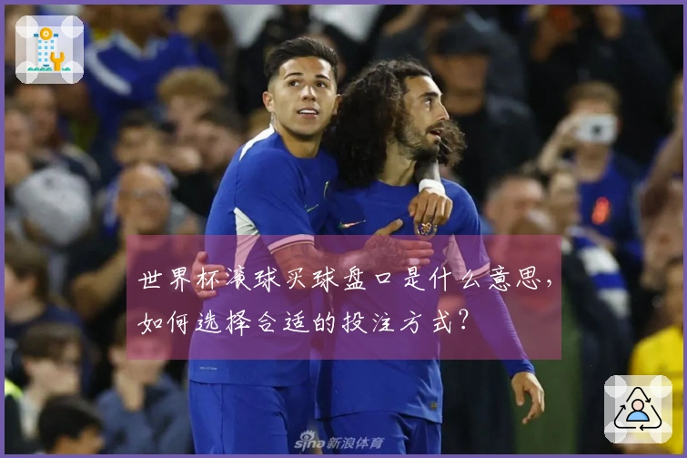 世界杯滚球买球盘口是什么意思，如何选择合适的投注方式？