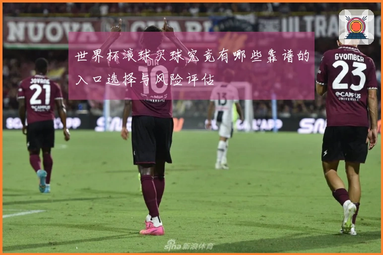 世界杯滚球买球究竟有哪些靠谱的入口选择与风险评估