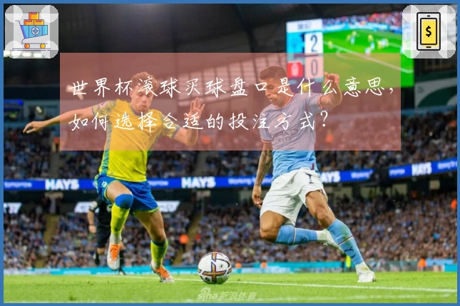 世界杯滚球买球盘口是什么意思，如何选择合适的投注方式？
