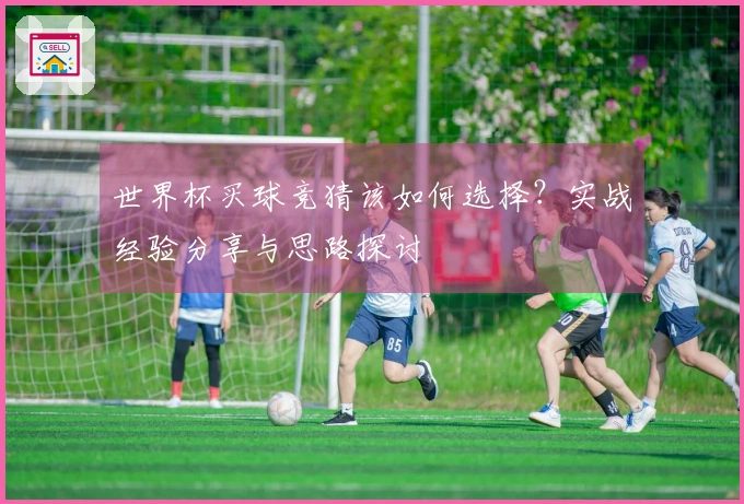 世界杯买球竞猜该如何选择？实战经验分享与思路探讨